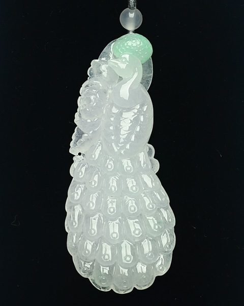 风窗牡丹