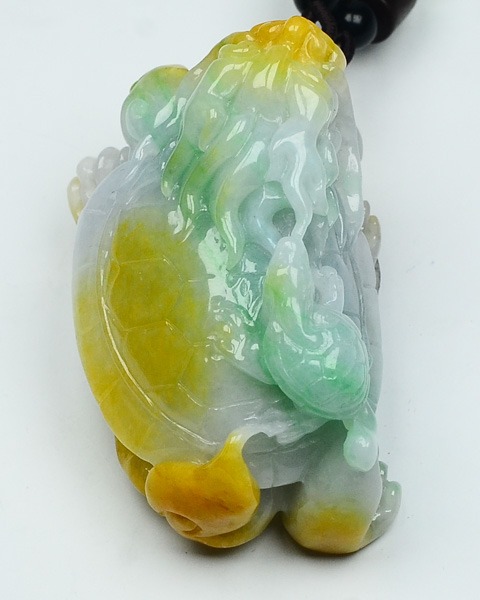 龙龟