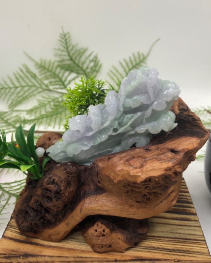 百财聚来