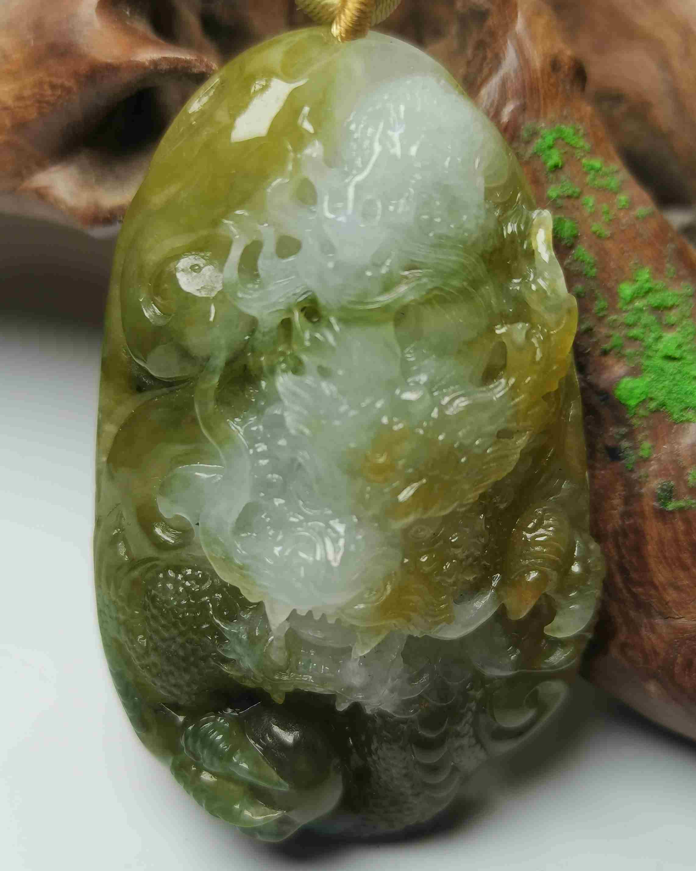 龙游天下