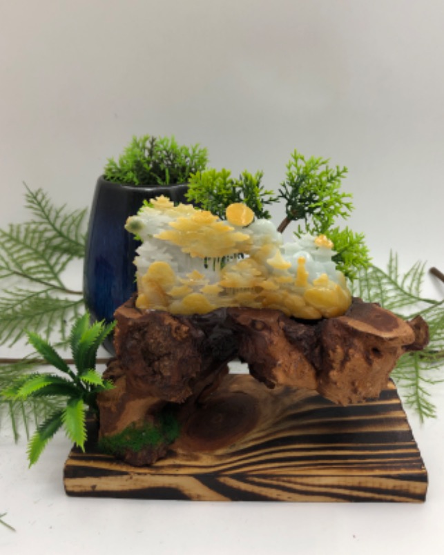 前程似锦