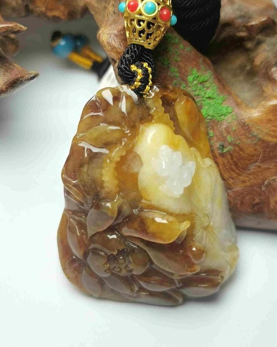 蓬荜生辉