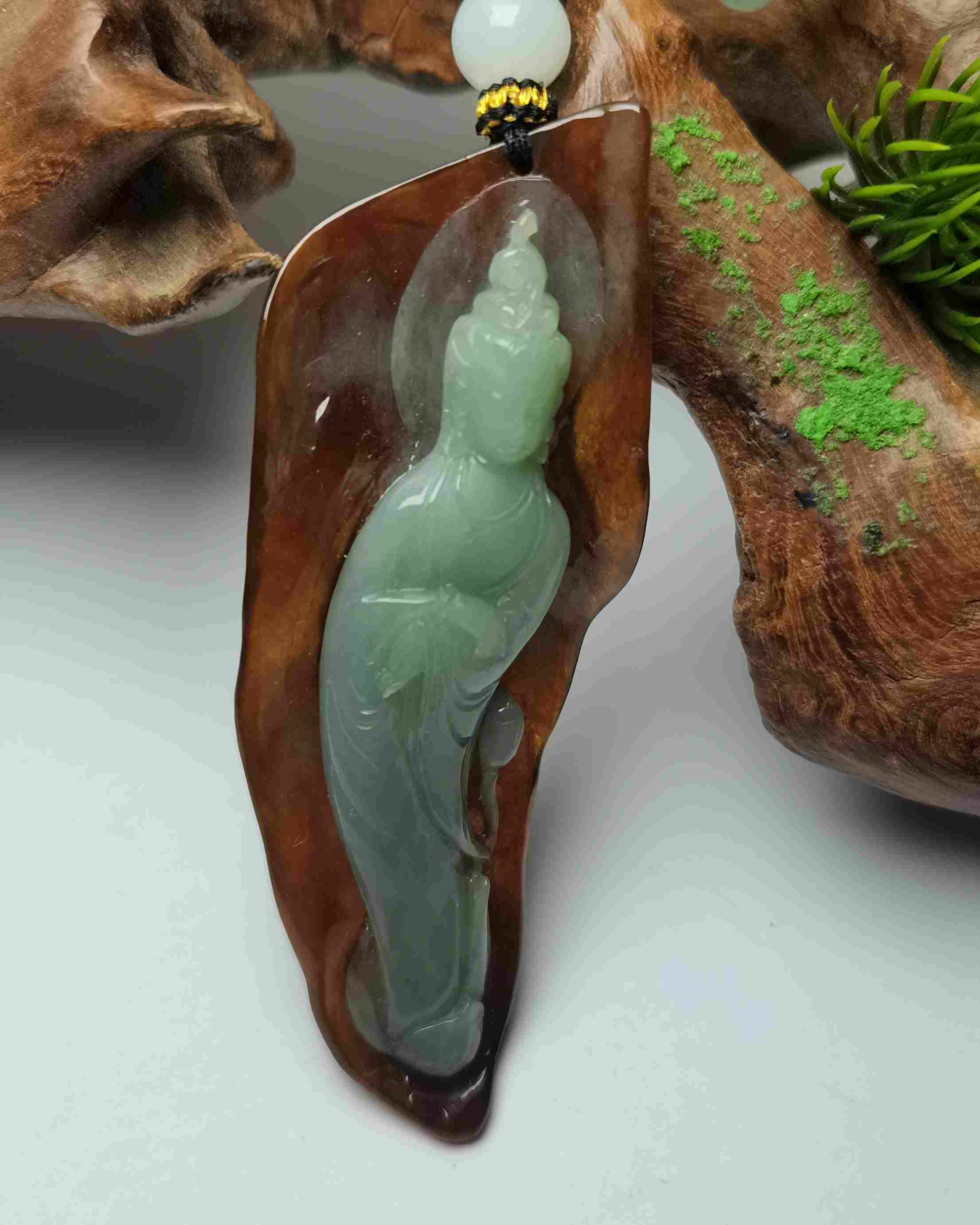 观世天下