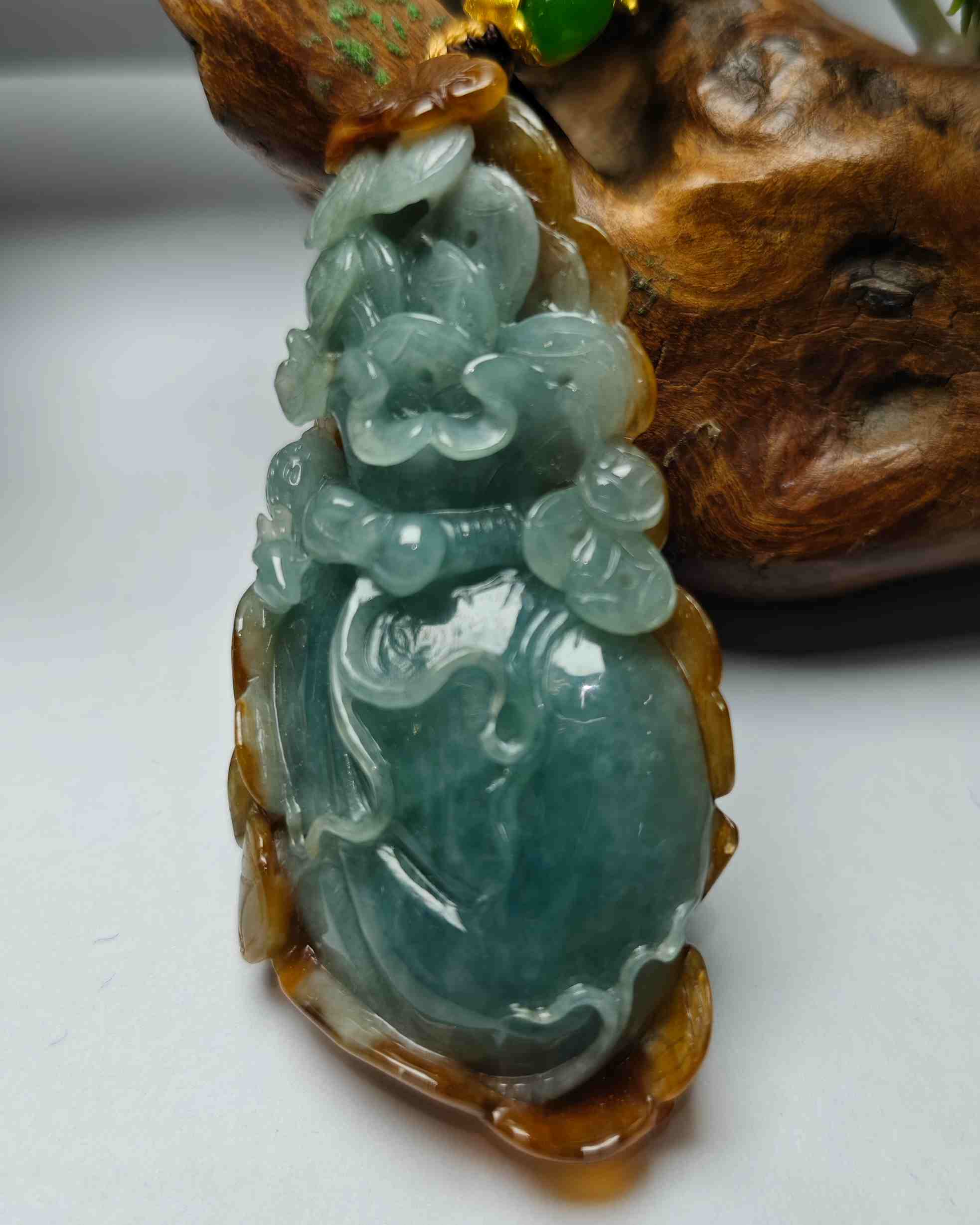 属你有财