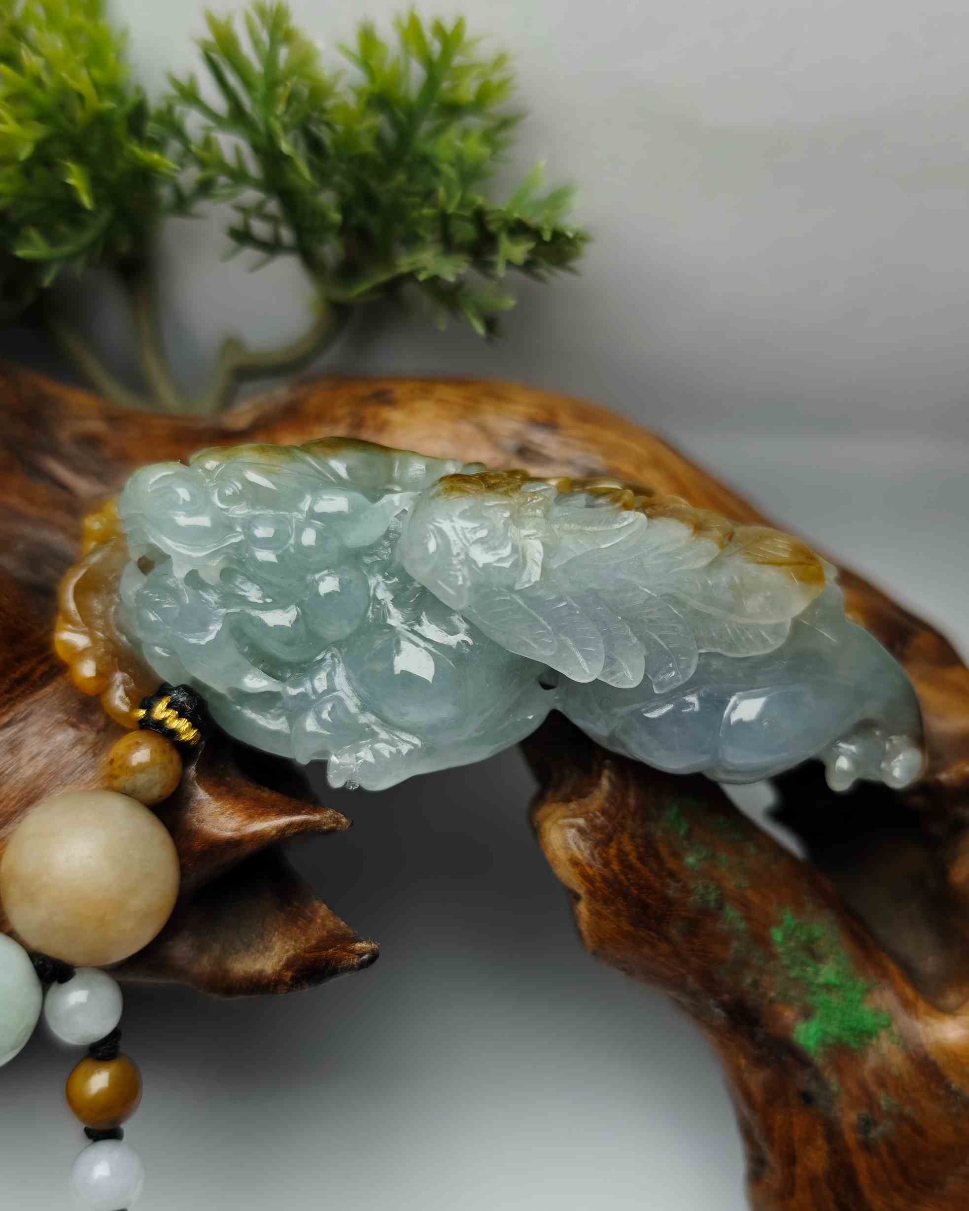 招财纳福