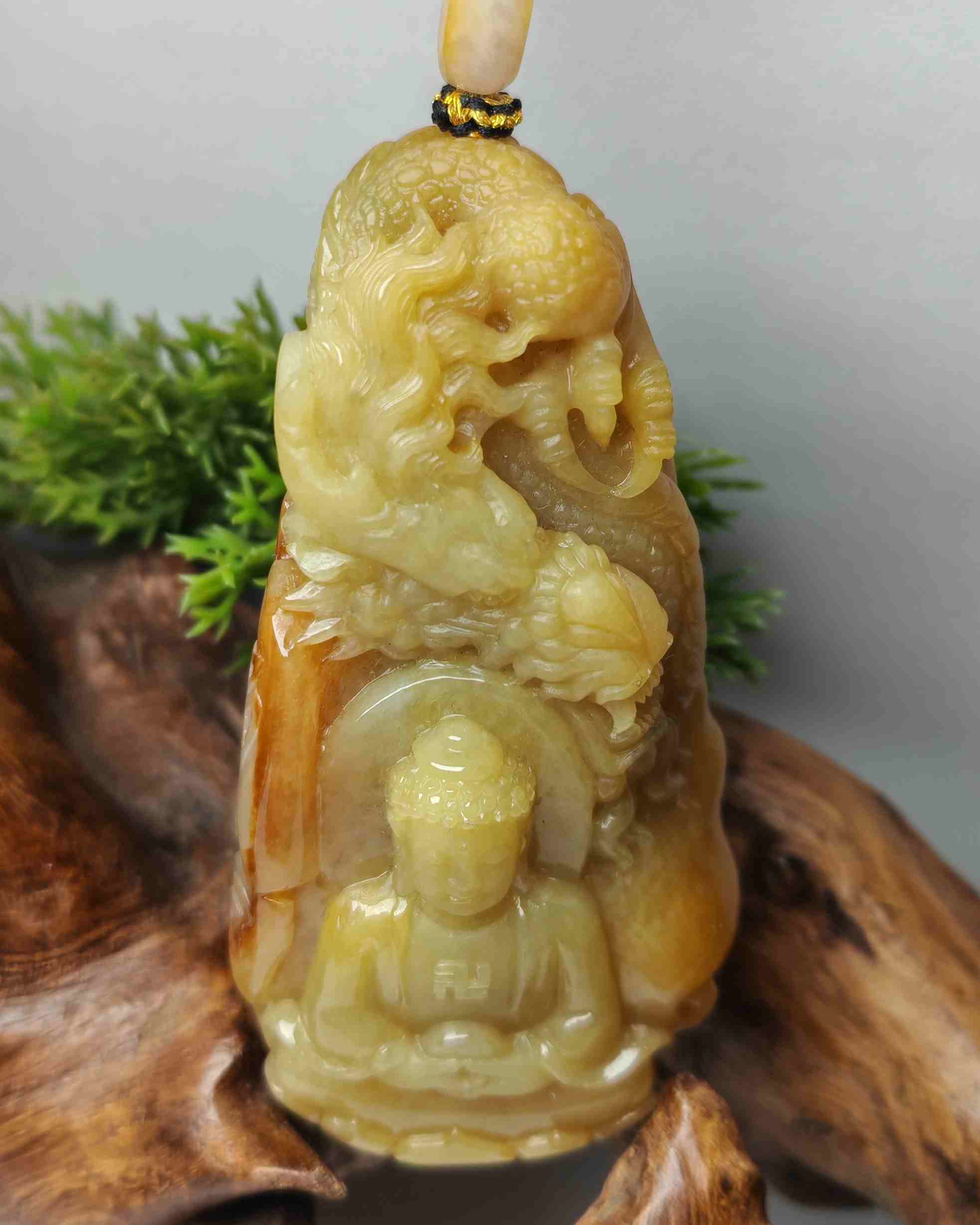 神龙护主