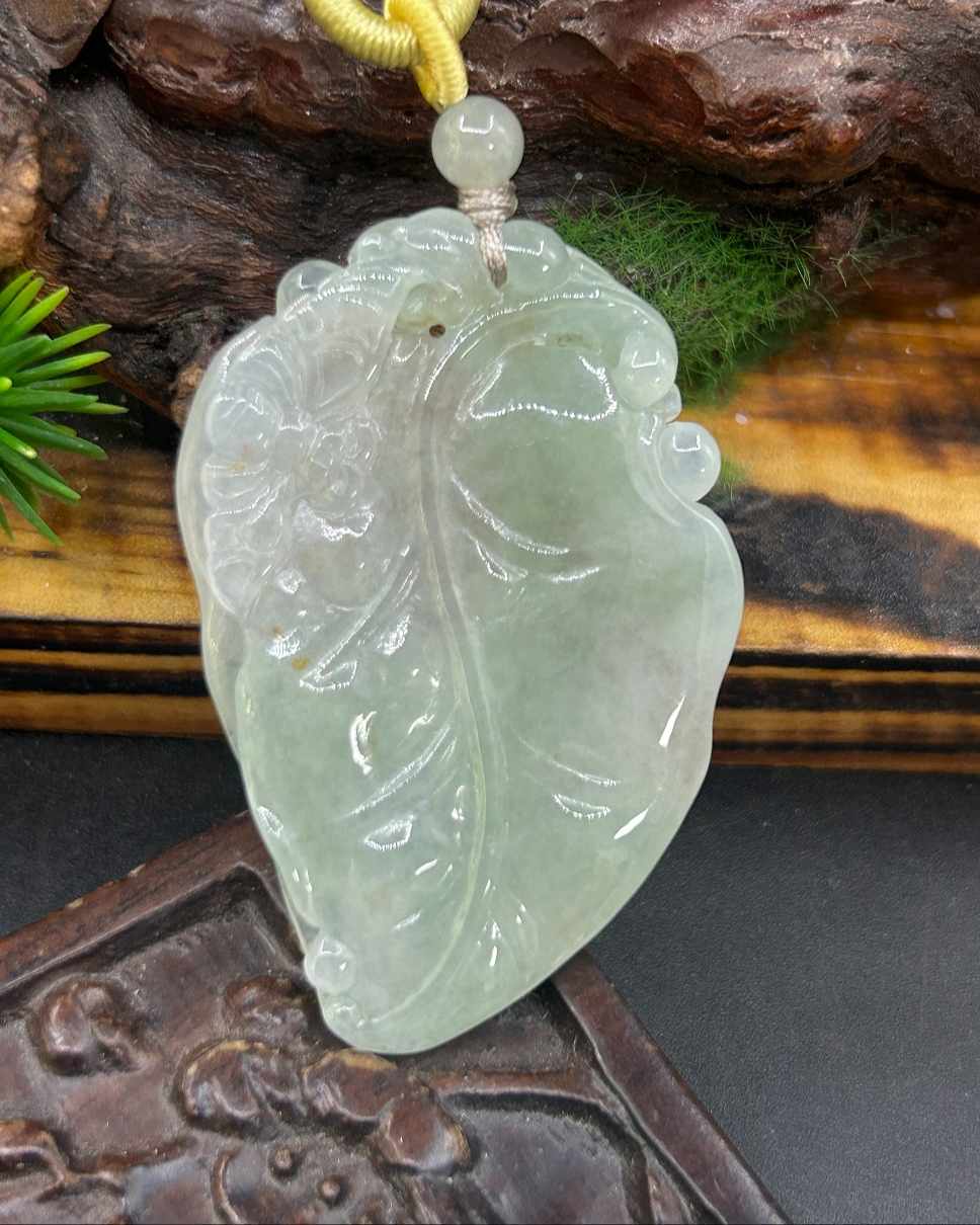 金枝玉叶